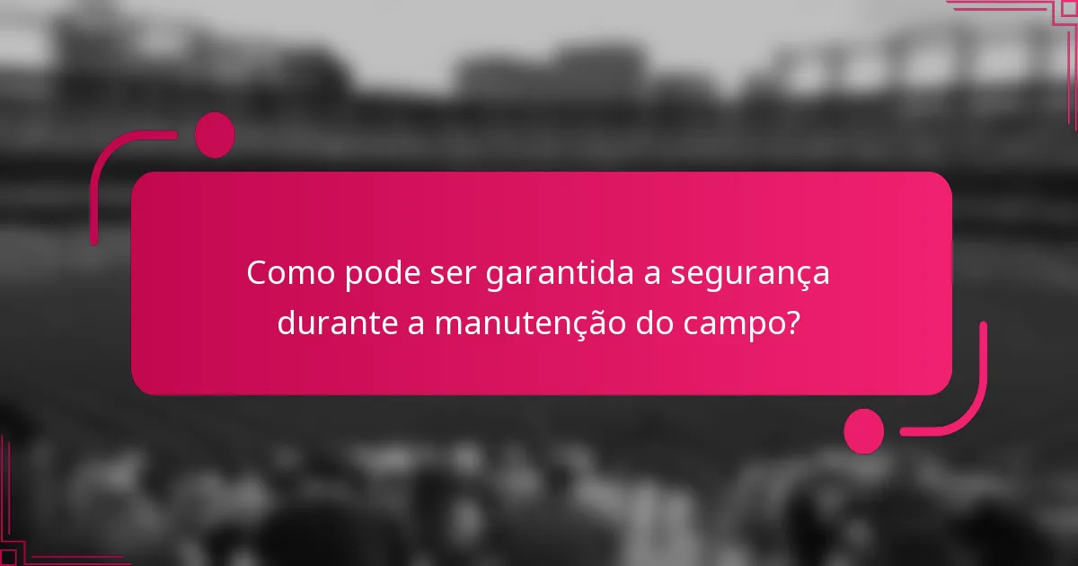Como pode ser garantida a segurança durante a manutenção do campo?